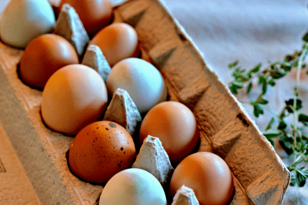 chicken egg abnormalities 3