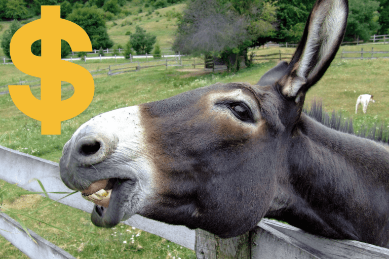 the-real-cost-of-owning-a-donkey-complete-breakdown