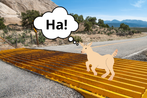 do cattle guards work for goats