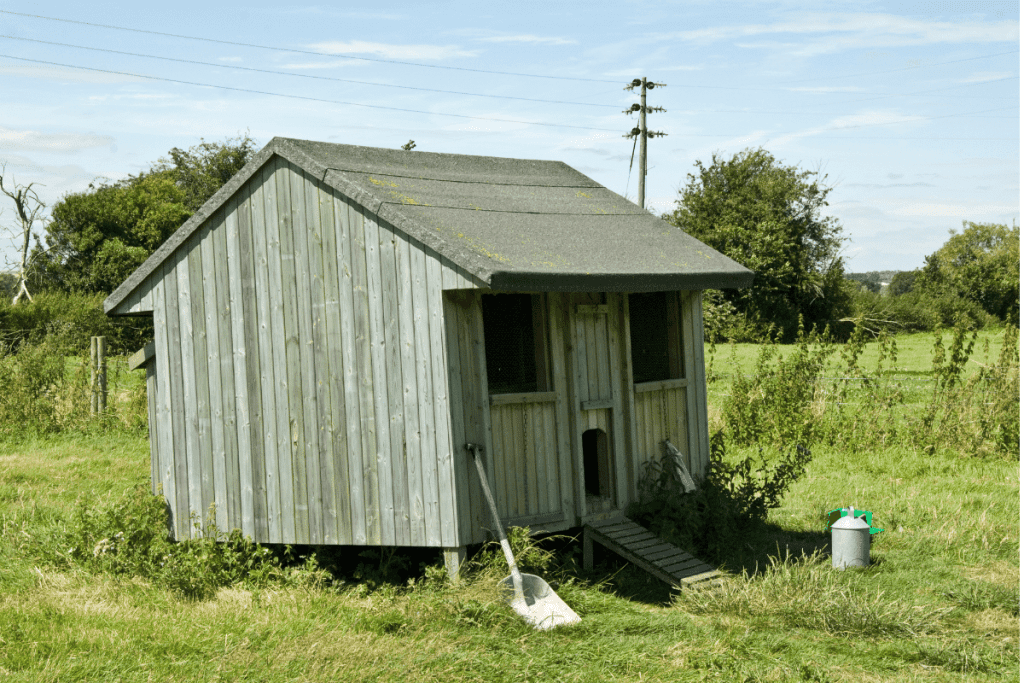 what to do with old chicken houses