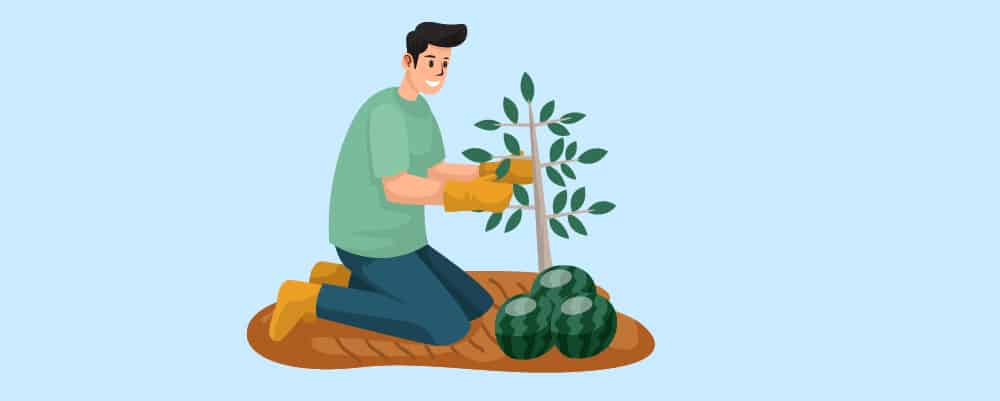 How to get started in farming
