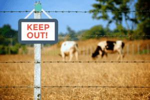 what keeps cows away