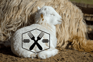 can you eat a ram sheep