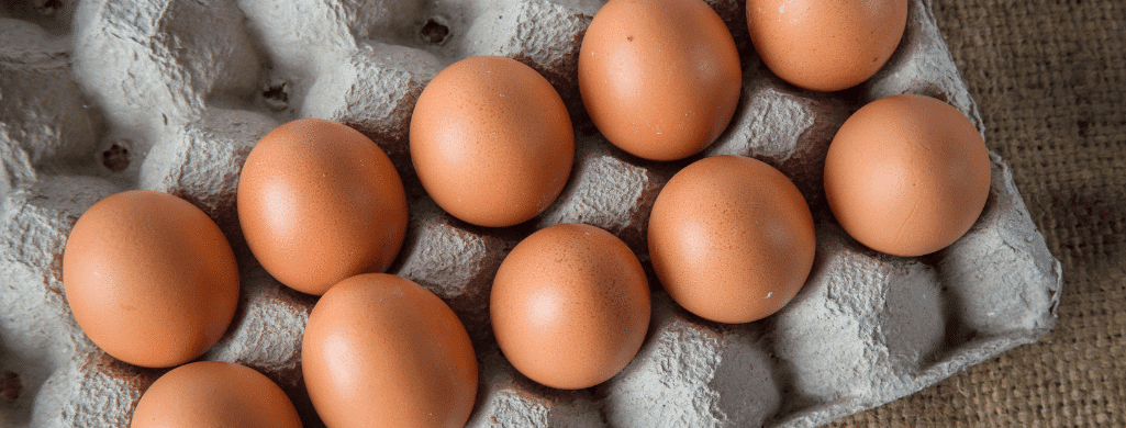 serama chicken egg production